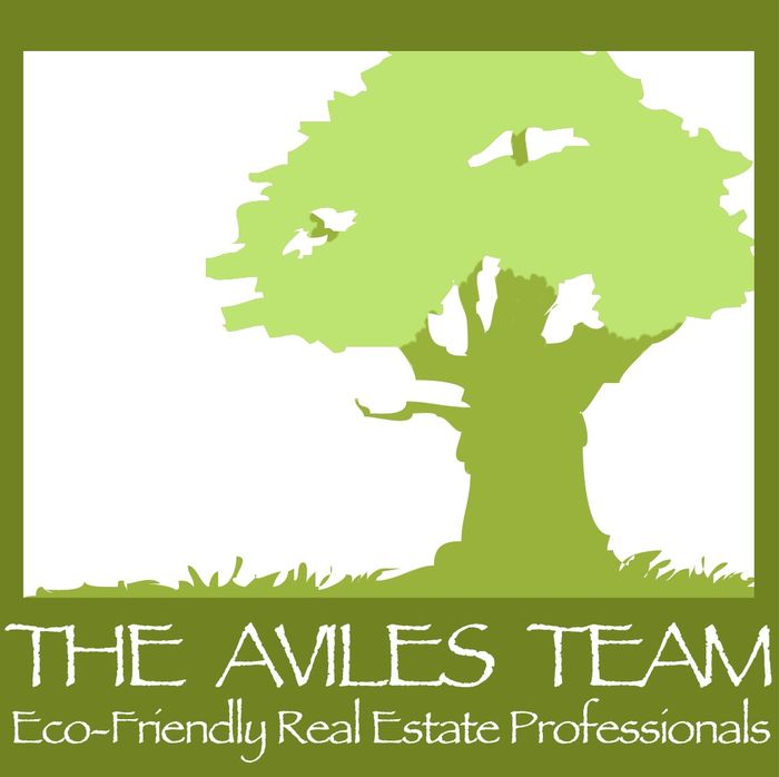 The Aviles Team