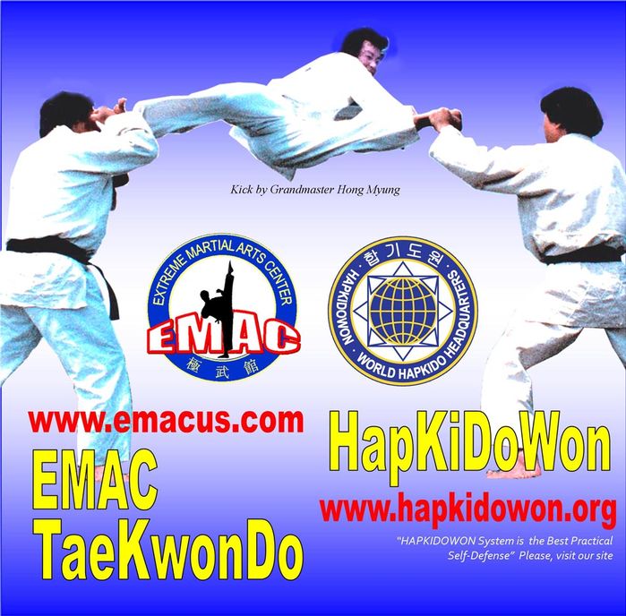 Academy of Corona TaeKwonDo HapKiDo EMAC 